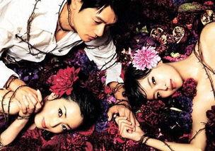 蜜之味在线观看,甜蜜邂逅，在线见证爱情奇迹  第3张