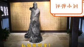 爆料评弹小刘的视频,爆料视频背后的精彩故事  第1张